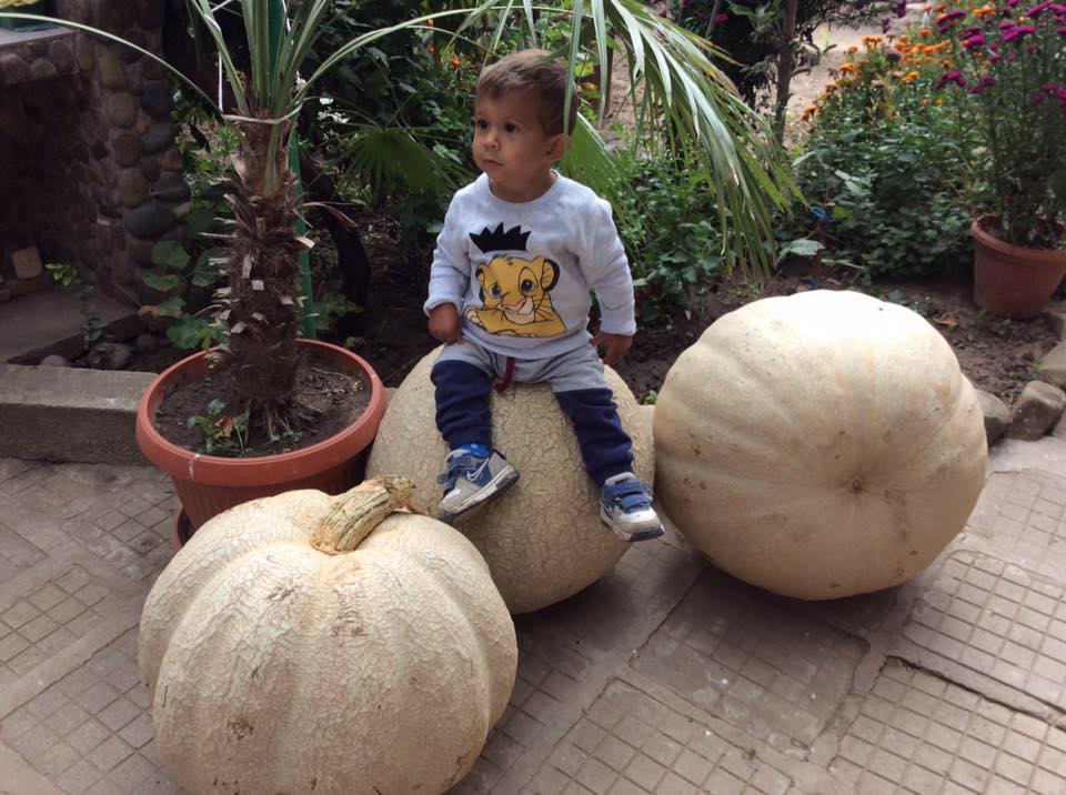 Аз се казвам Мартин и обичам зеленчуци !